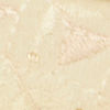 Velvety Elegance Cream Shoe